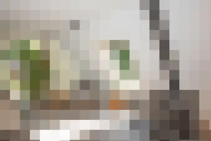 Hondelink 53 Haaksbergen thumbnail 7