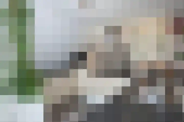 Hondelink 53 Haaksbergen thumbnail 8