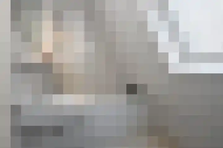 Hondelink 53 Haaksbergen thumbnail 9