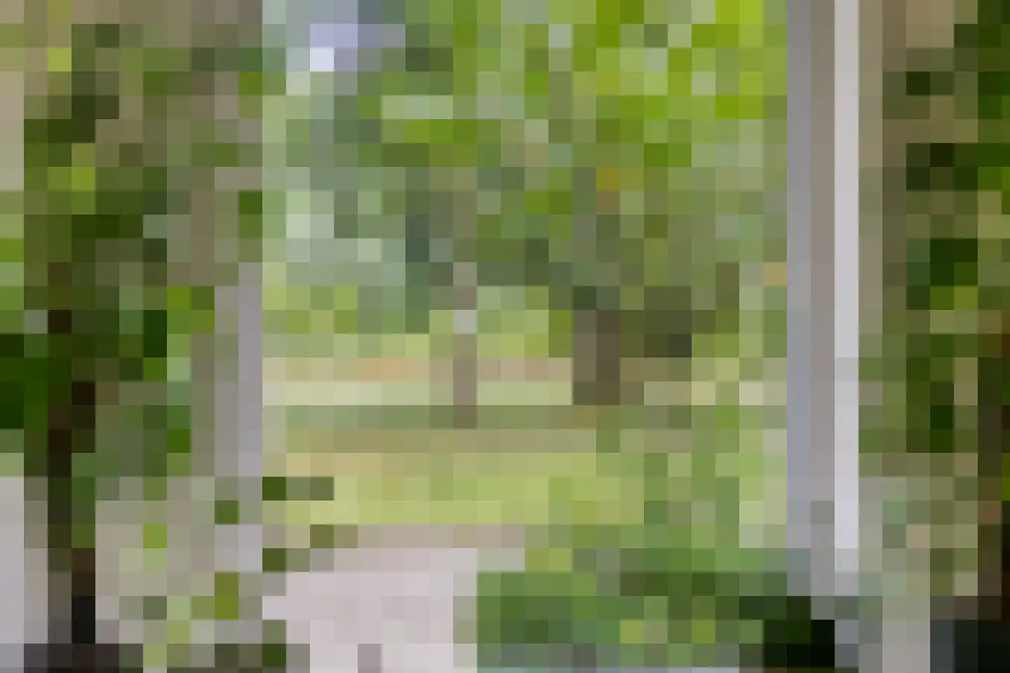 Hondelink 69 Haaksbergen thumbnail 10