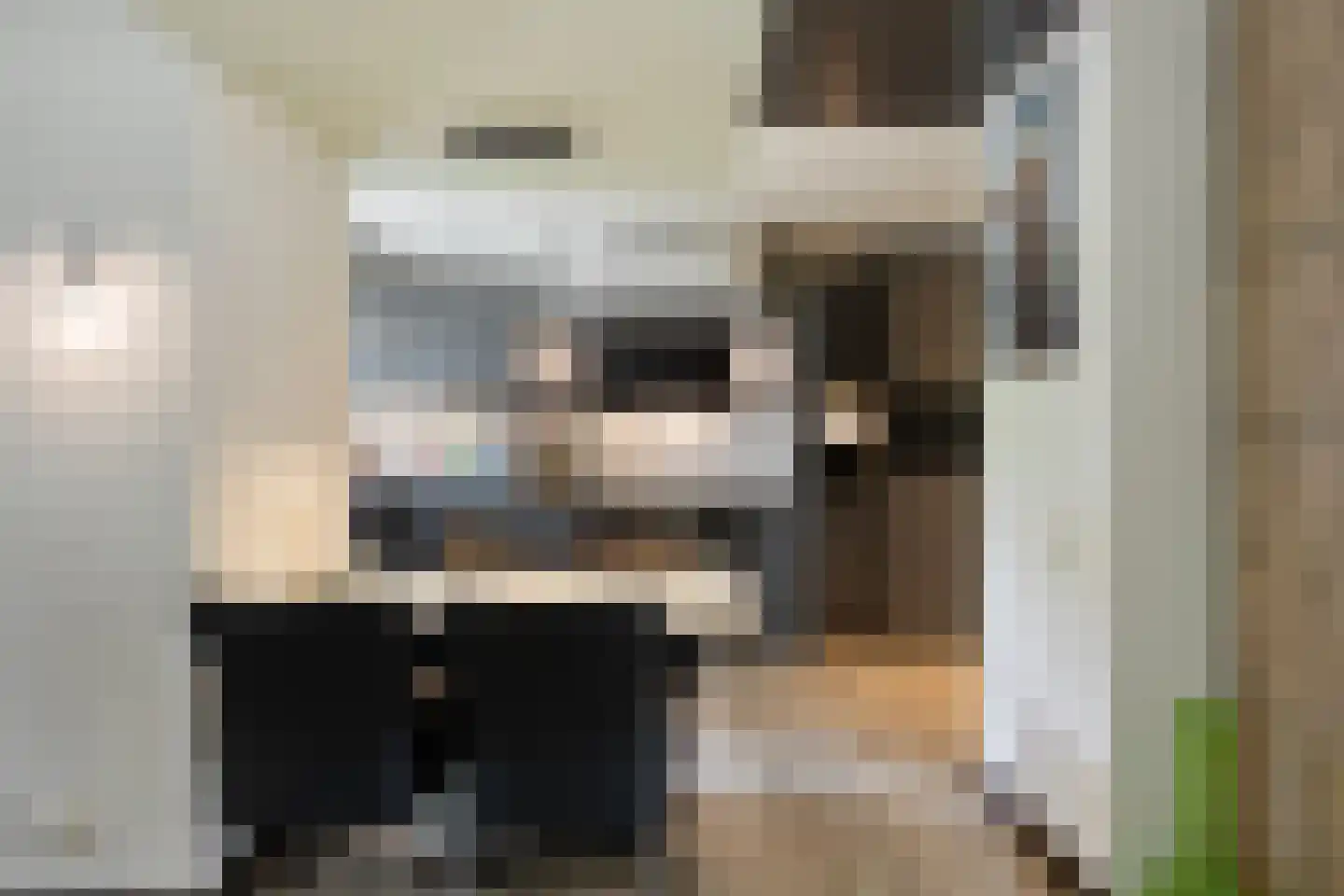 Hondelink 69 Haaksbergen thumbnail 14