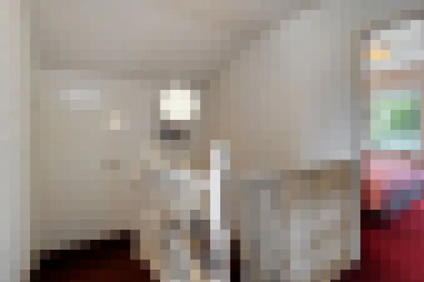 Hondelink 69 Haaksbergen thumbnail 22