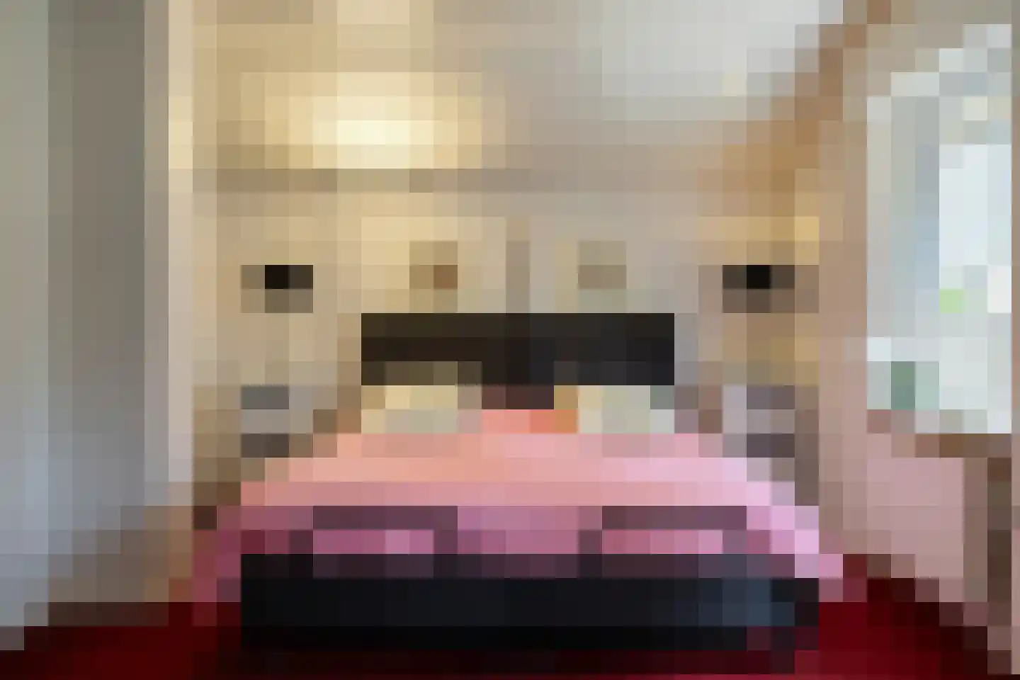 Hondelink 69 Haaksbergen thumbnail 23