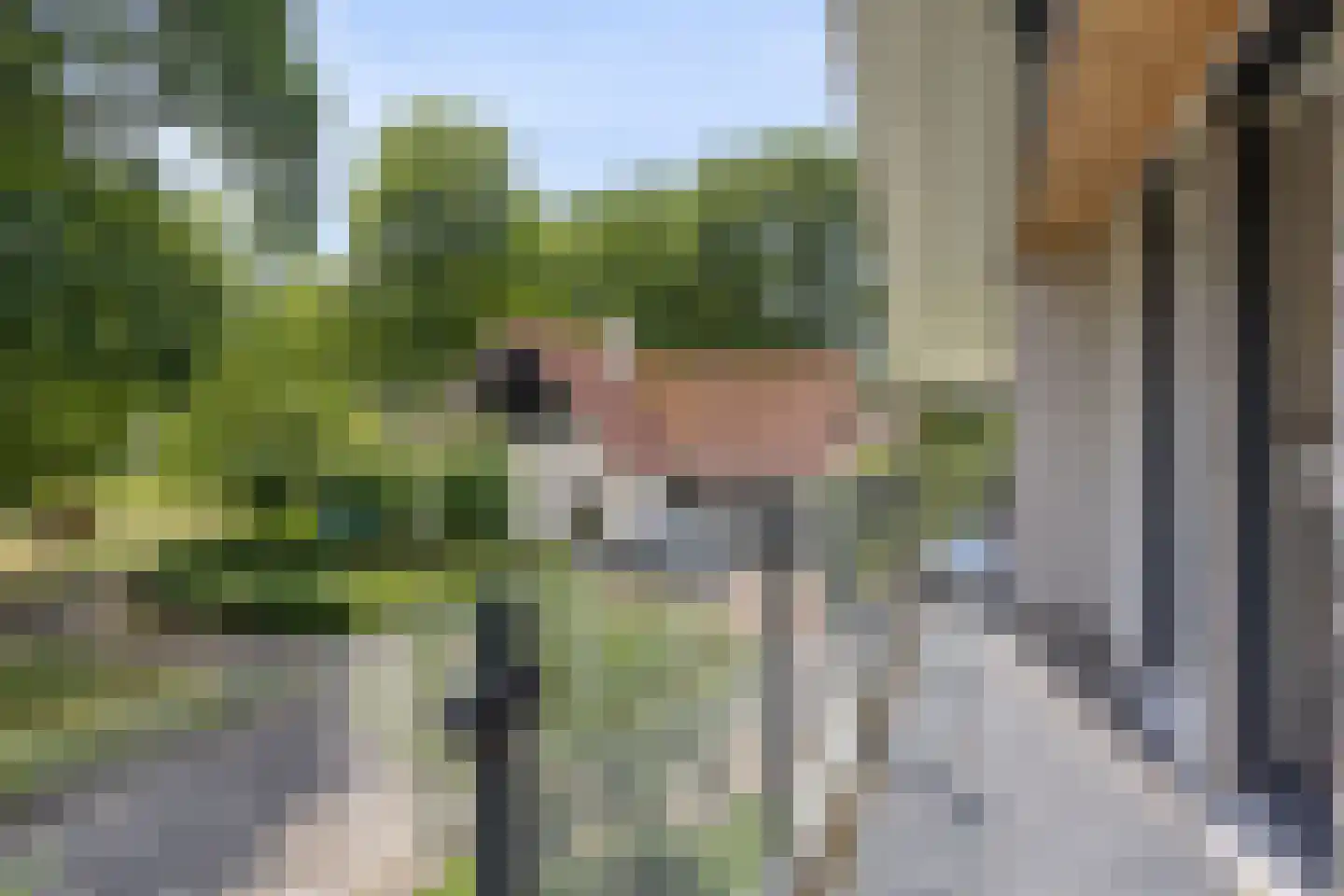 Hondelink 69 Haaksbergen thumbnail 29