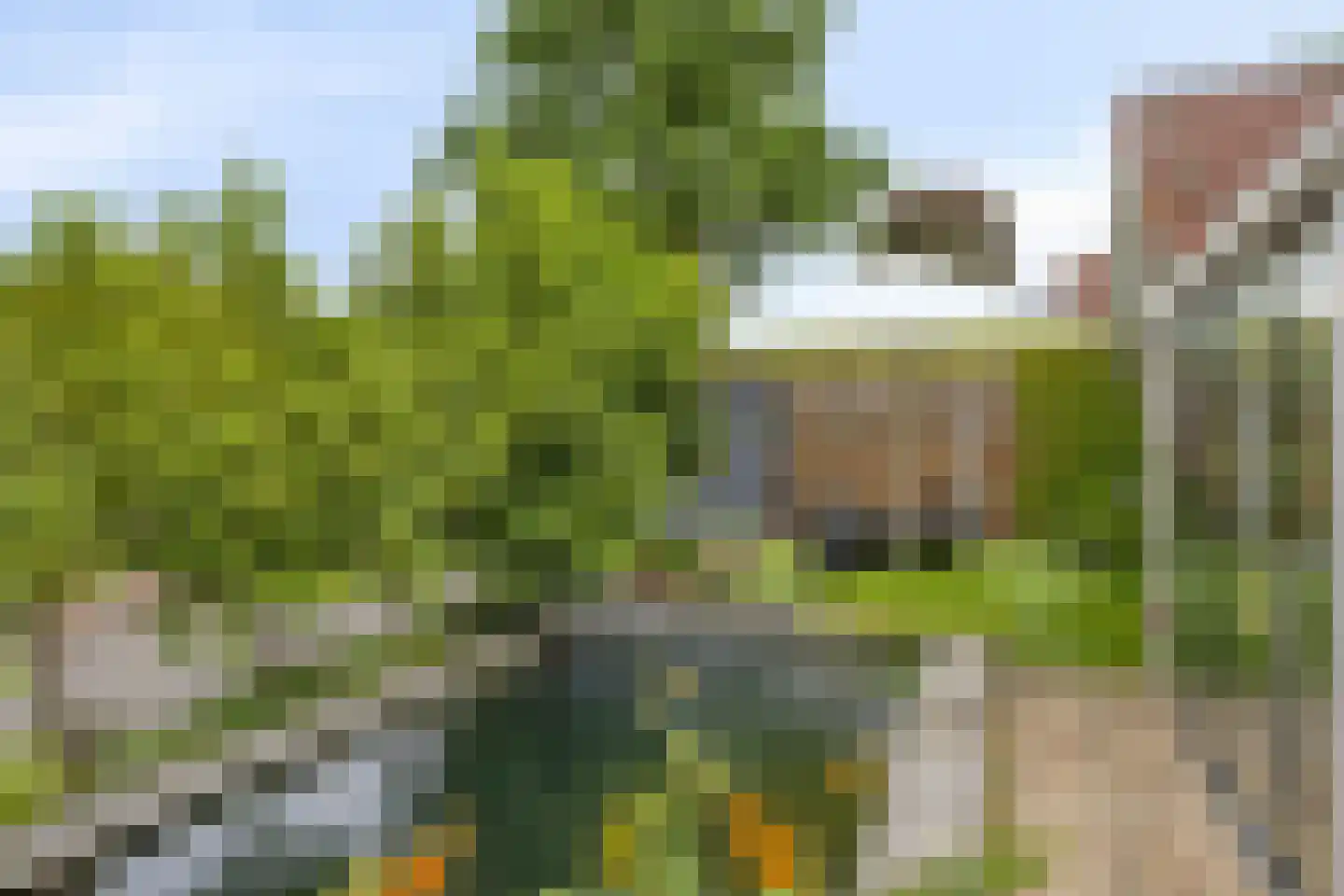 Hondelink 69 Haaksbergen thumbnail 31