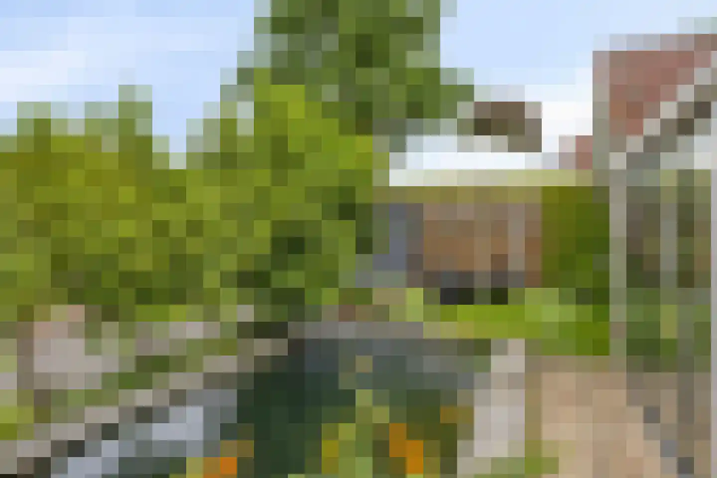 Hondelink 69 Haaksbergen thumbnail 32