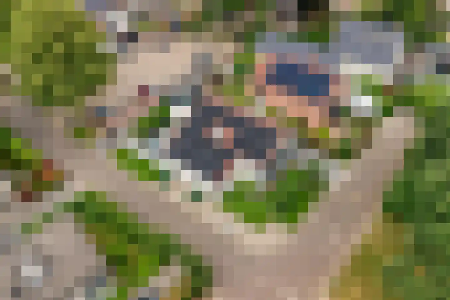 Hondelink 69 Haaksbergen thumbnail 36