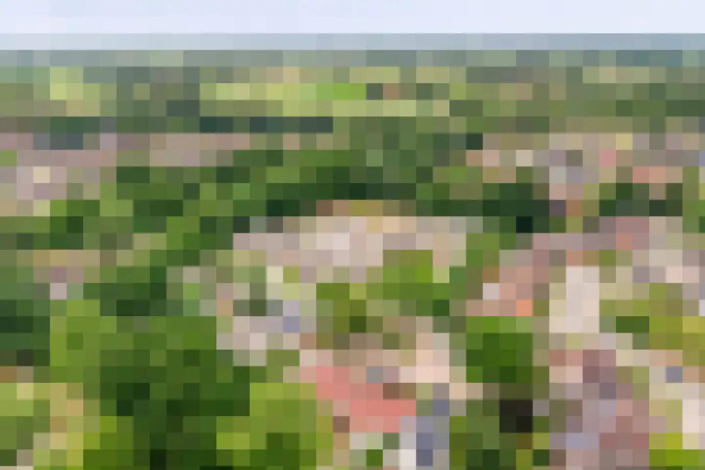 Hondelink 69 Haaksbergen thumbnail 38