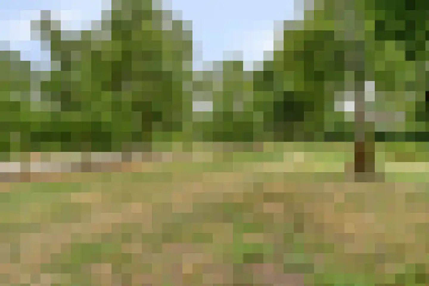Hondelink 69 Haaksbergen thumbnail 38