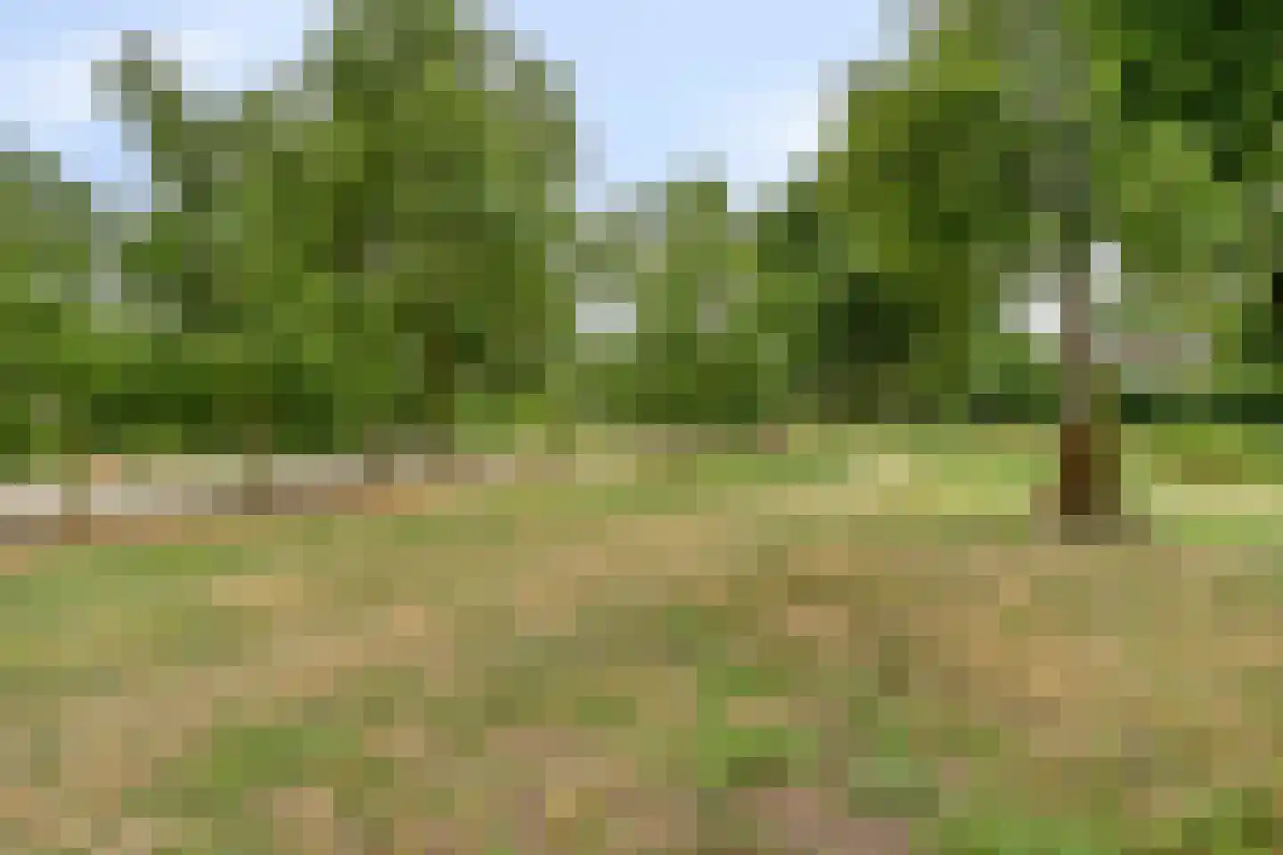 Hondelink 69 Haaksbergen thumbnail 39