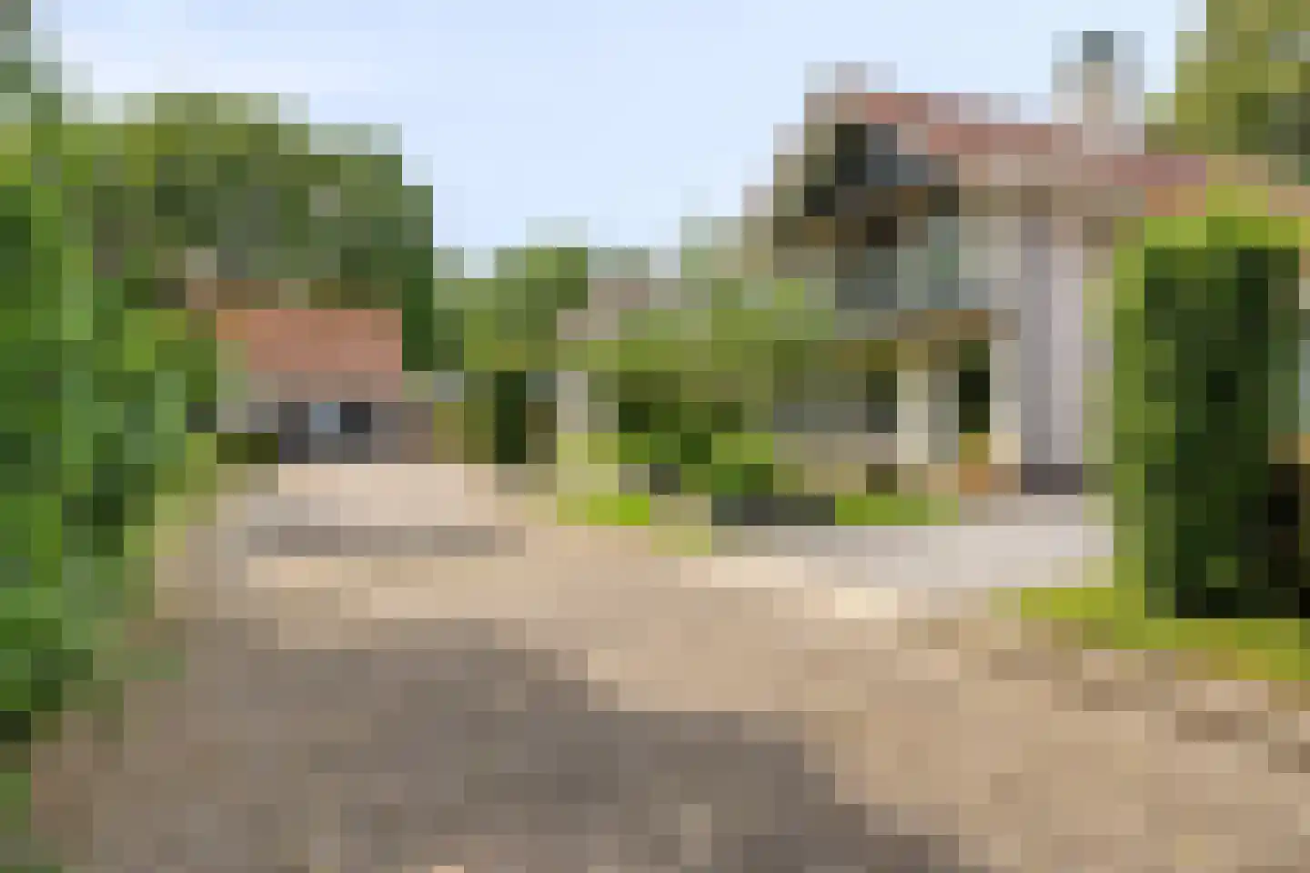 Hondelink 69 Haaksbergen thumbnail 4