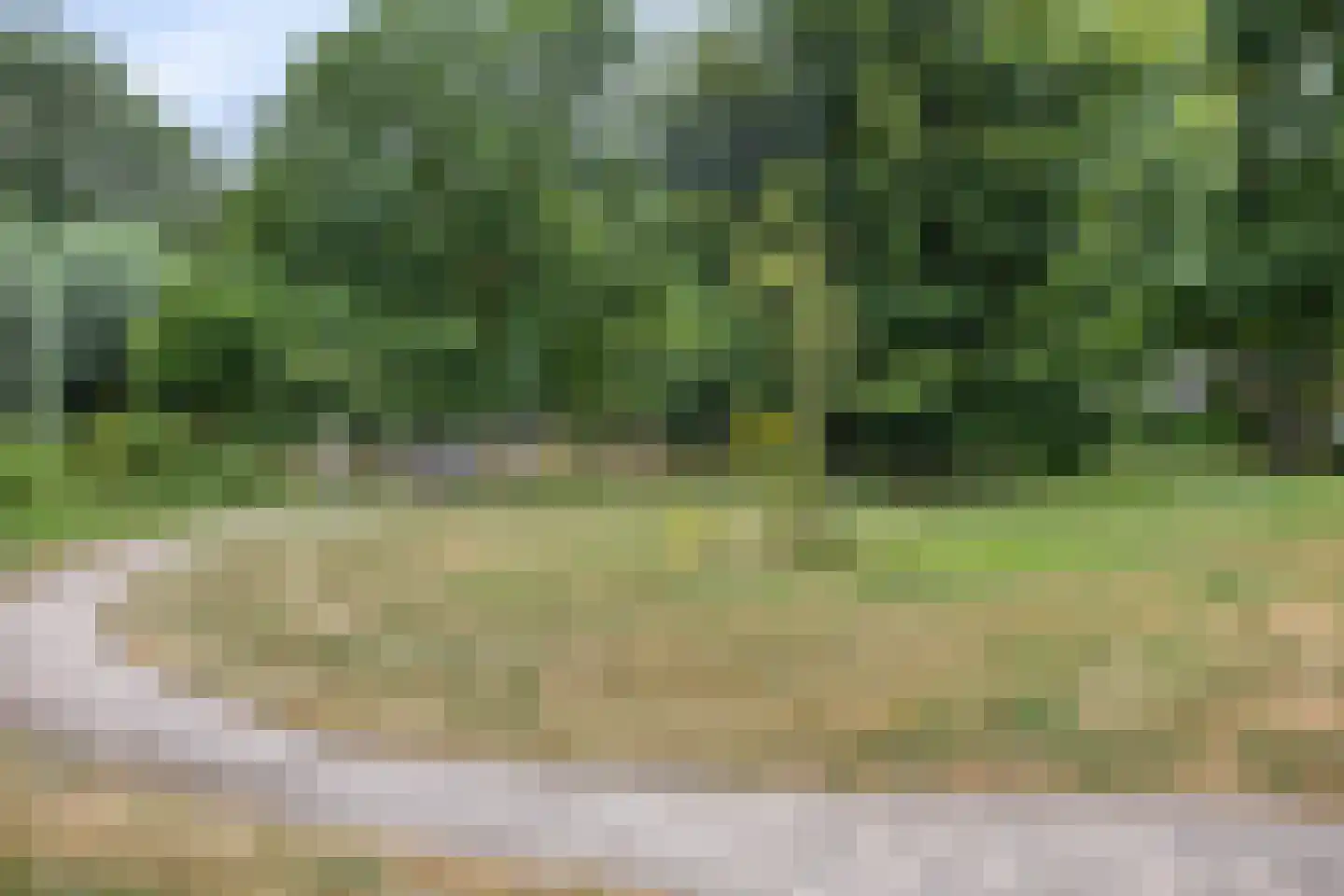 Hondelink 69 Haaksbergen thumbnail 40