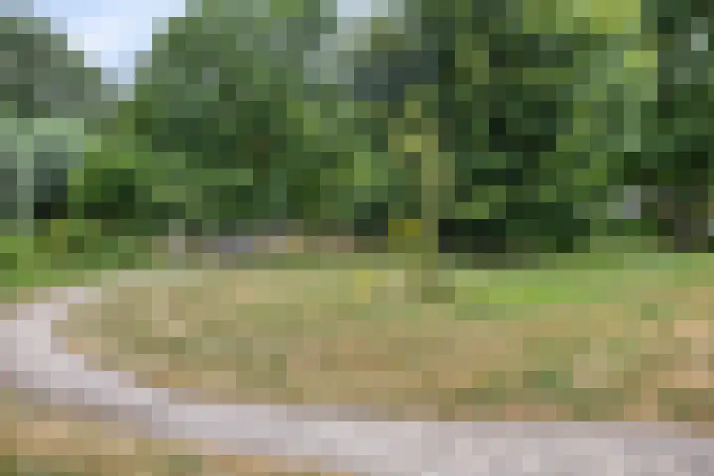 Hondelink 69 Haaksbergen thumbnail 41