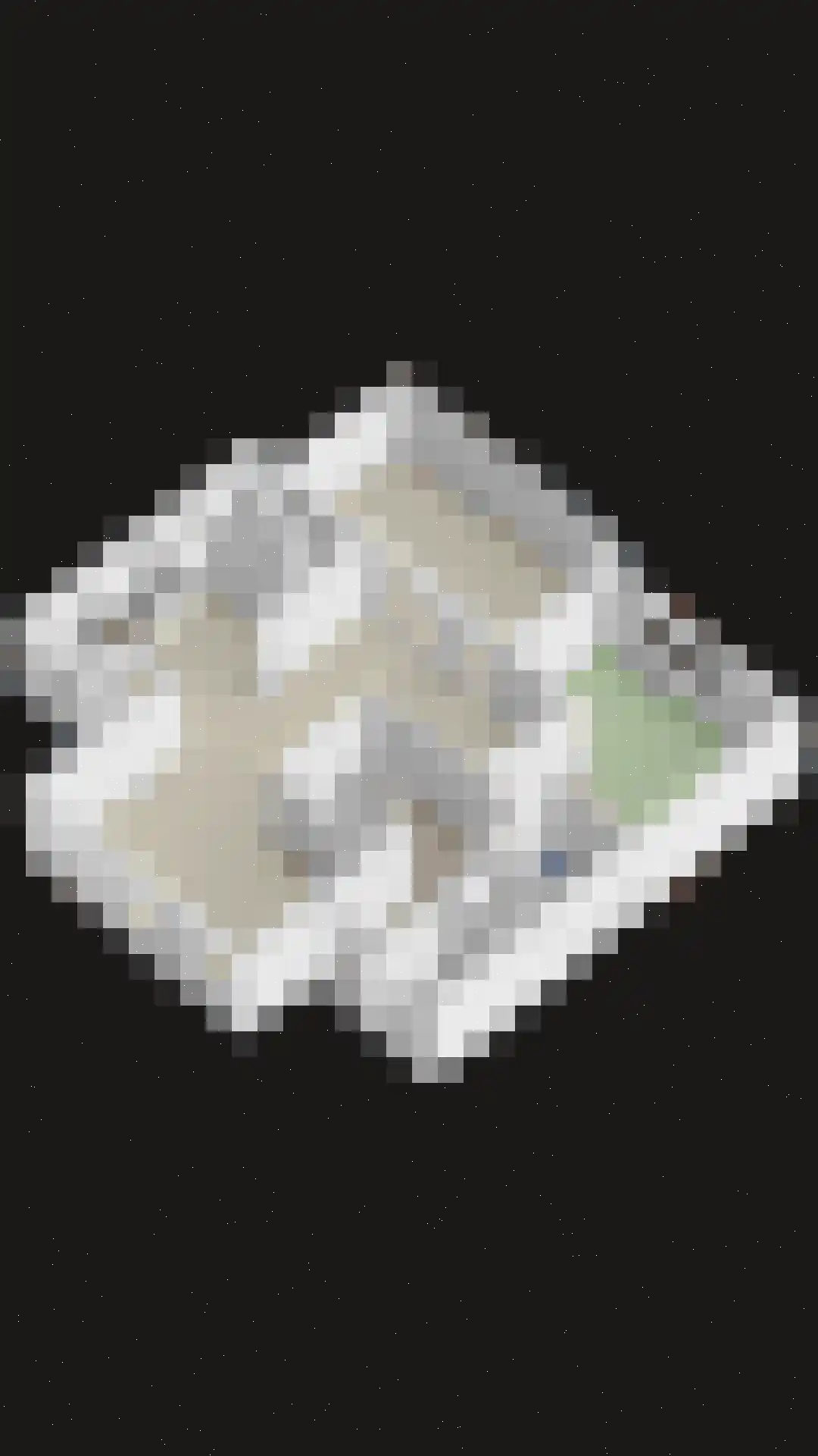 Hondelink 69 Haaksbergen thumbnail 43