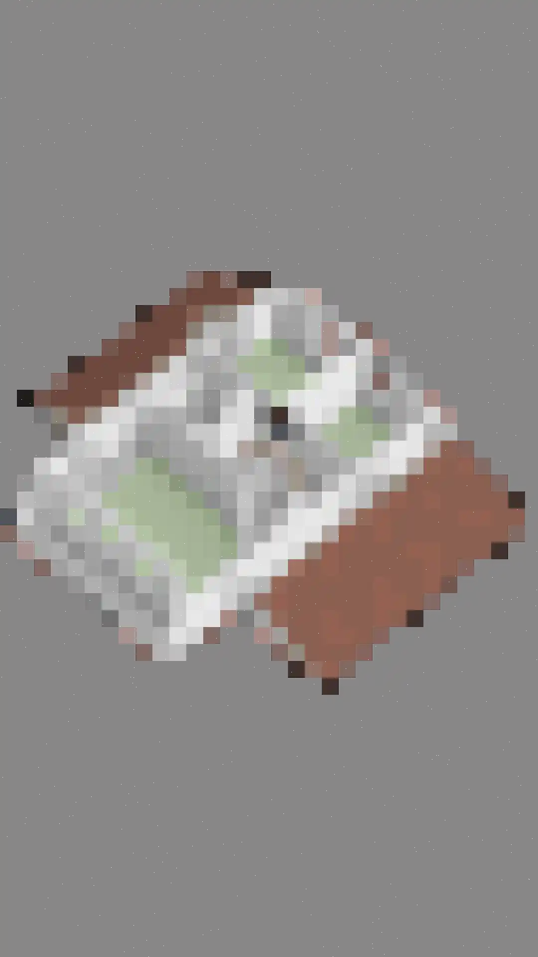 Hondelink 69 Haaksbergen thumbnail 45