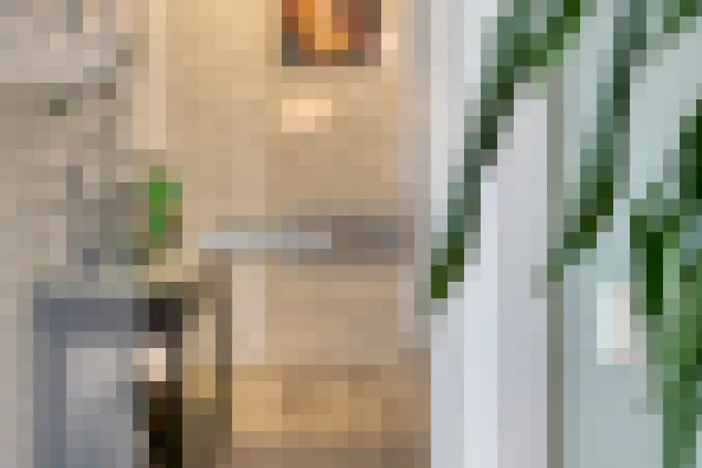 Hondelink 69 Haaksbergen thumbnail 8