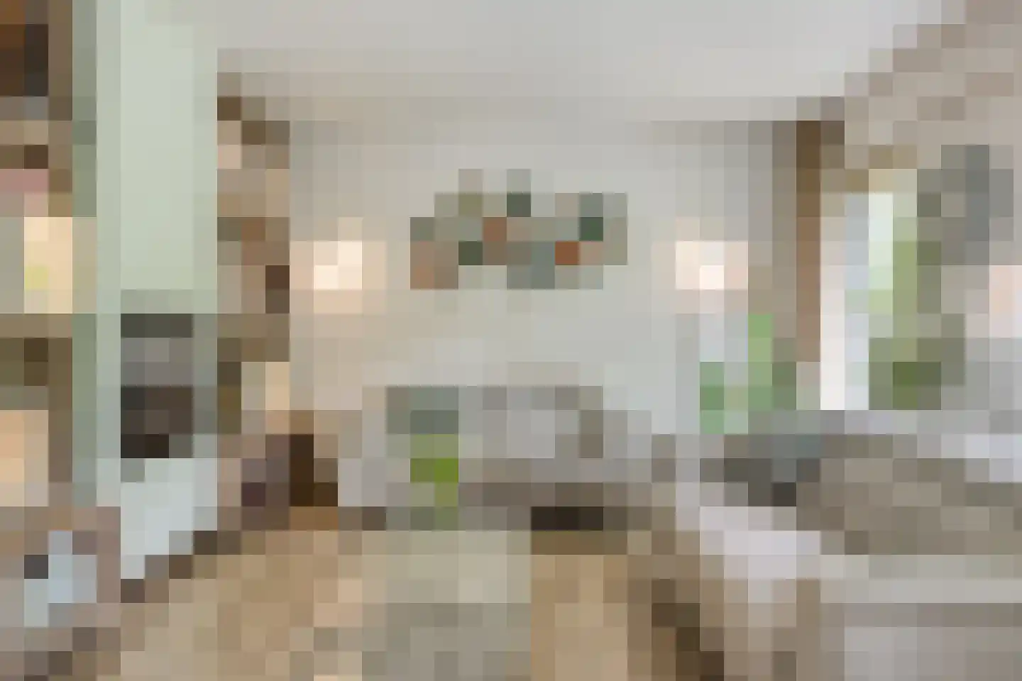 Hondelink 69 Haaksbergen thumbnail 8