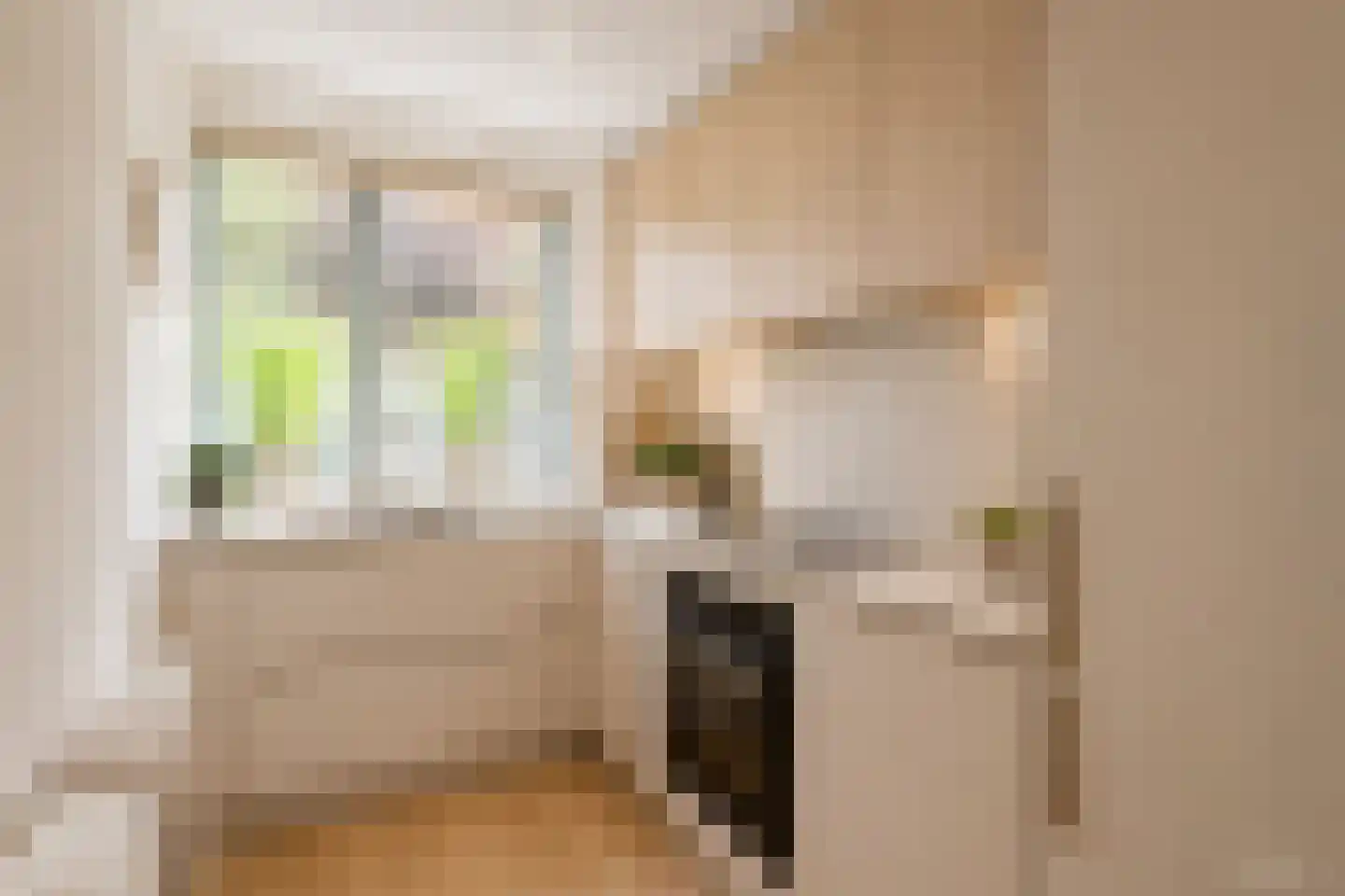 Hondelink 80 Haaksbergen thumbnail 13