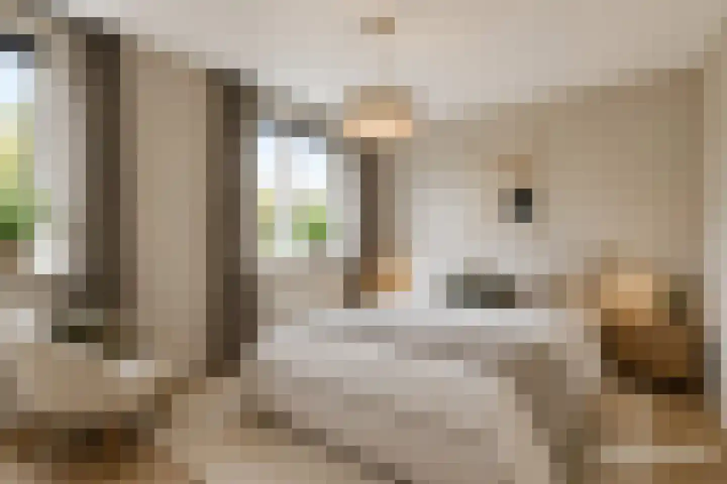 Hondelink 80 Haaksbergen thumbnail 23