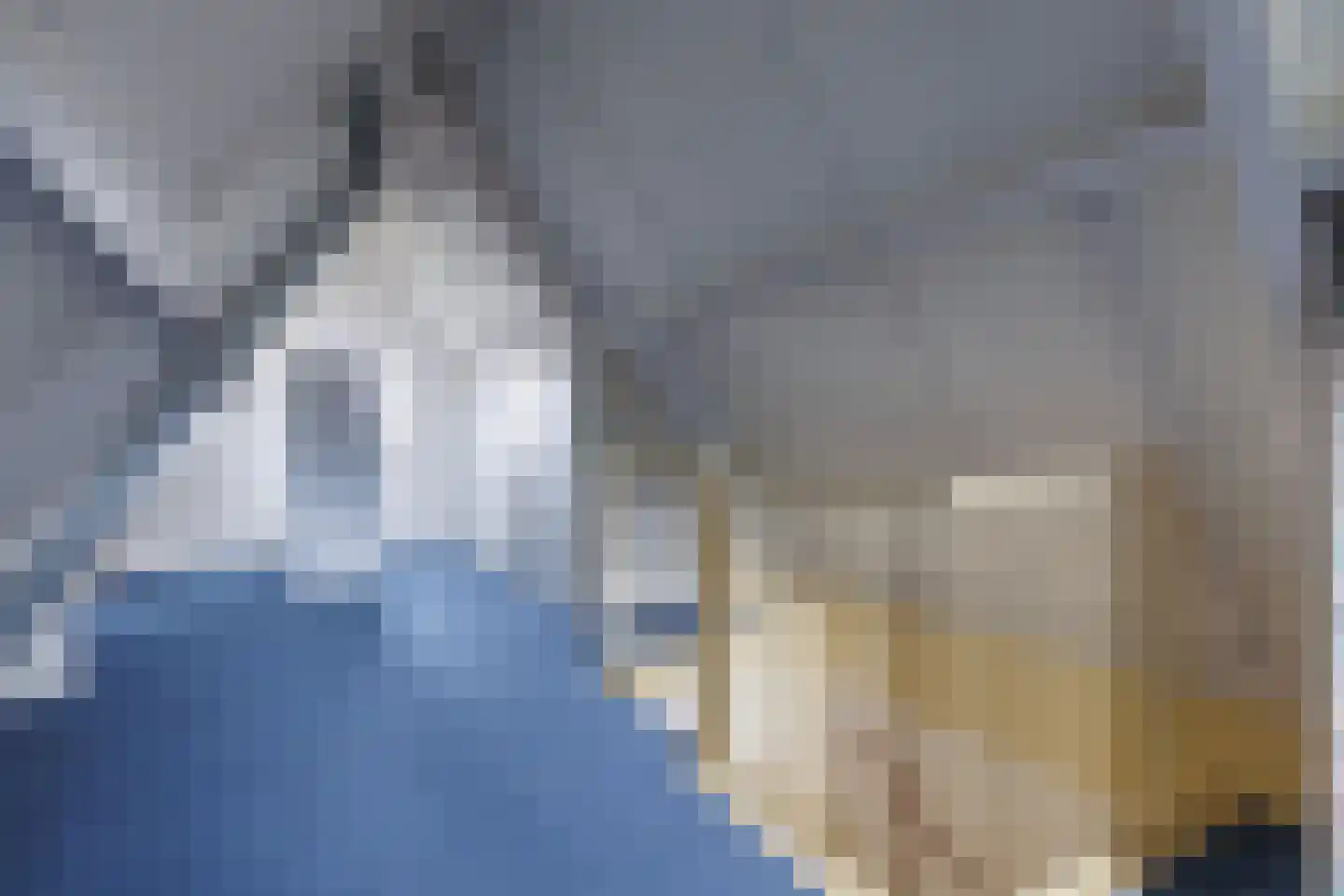Hondelink 80 Haaksbergen thumbnail 36