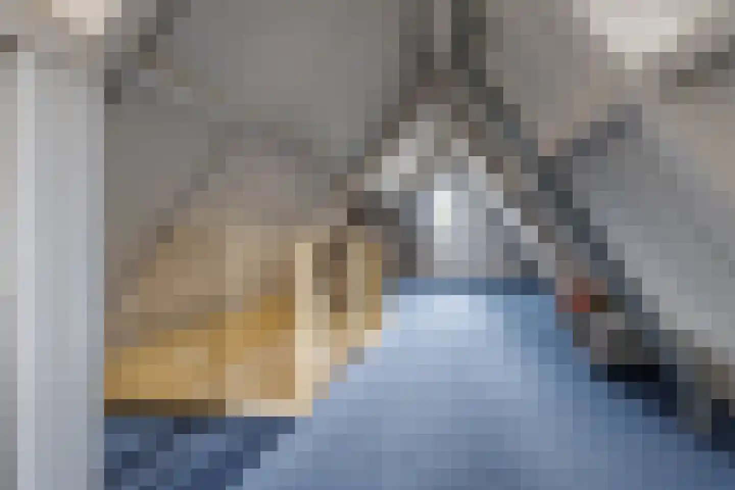 Hondelink 80 Haaksbergen thumbnail 37
