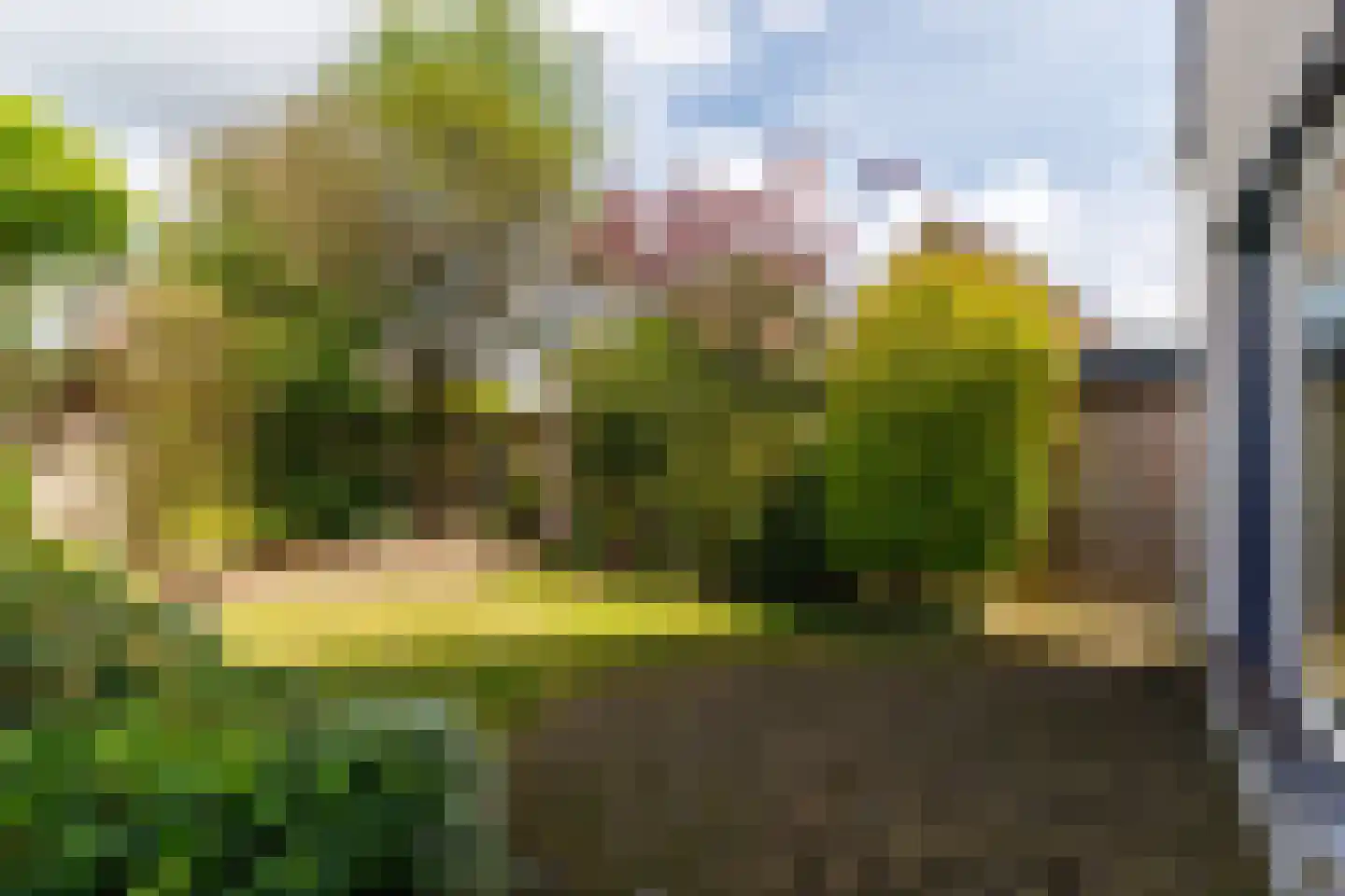 Hondelink 80 Haaksbergen thumbnail 39