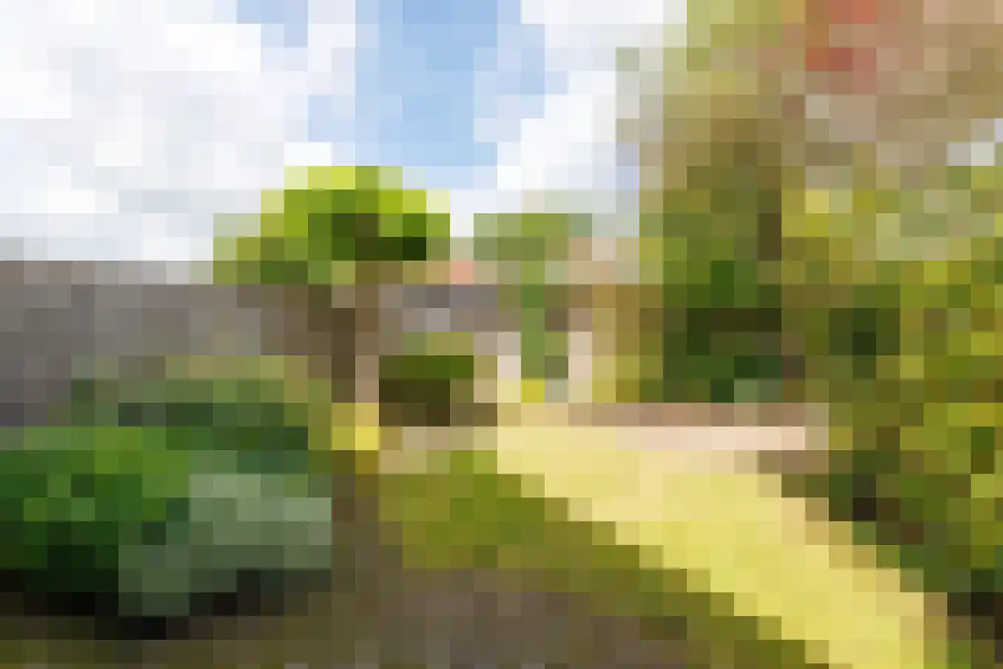 Hondelink 80 Haaksbergen thumbnail 40
