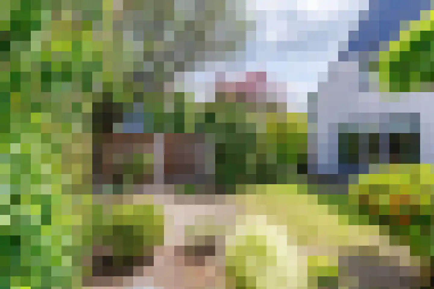 Hondelink 80 Haaksbergen thumbnail 42