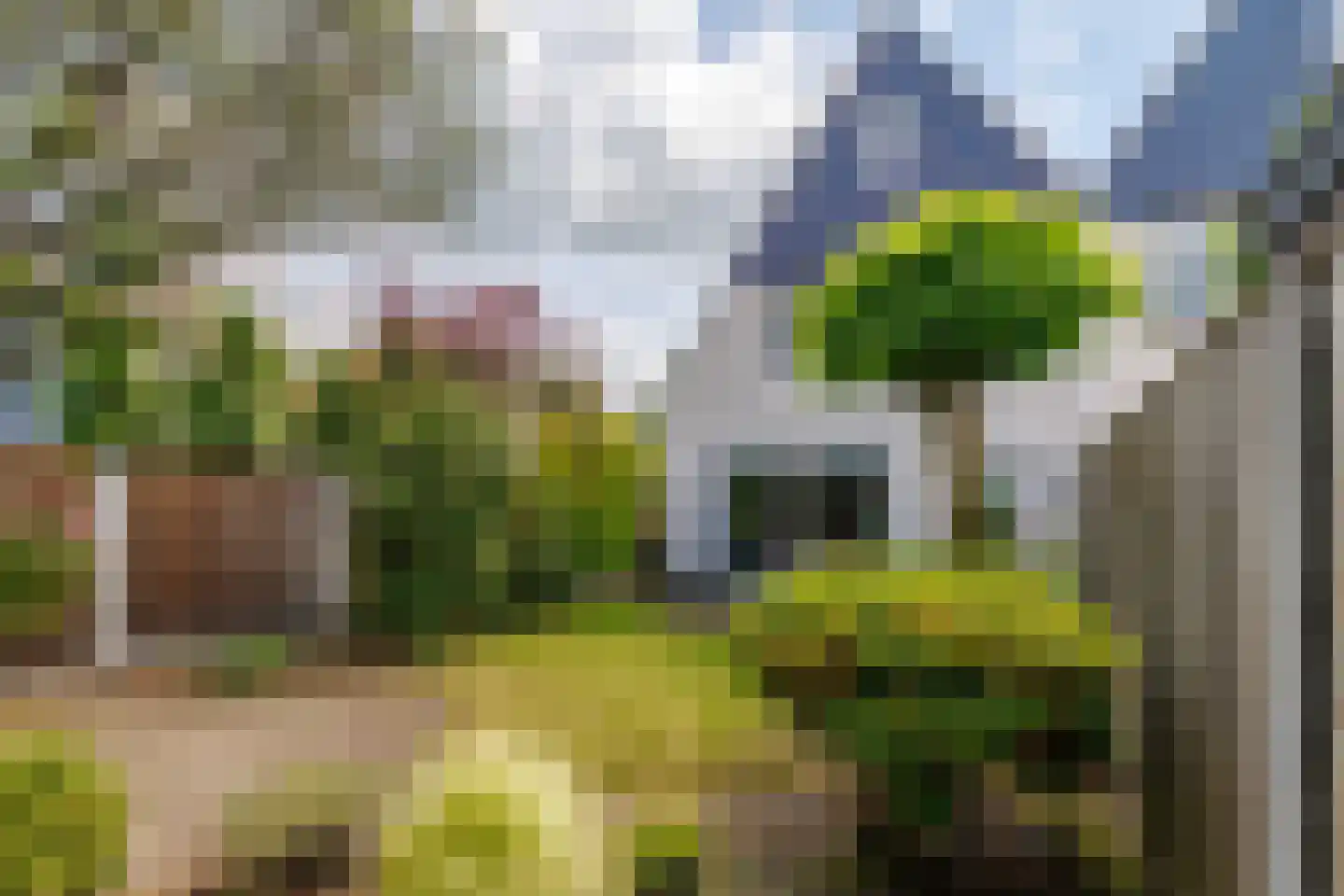 Hondelink 80 Haaksbergen thumbnail 43