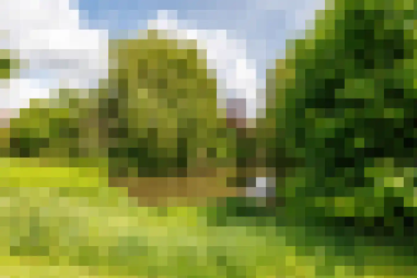 Hondelink 80 Haaksbergen thumbnail 46