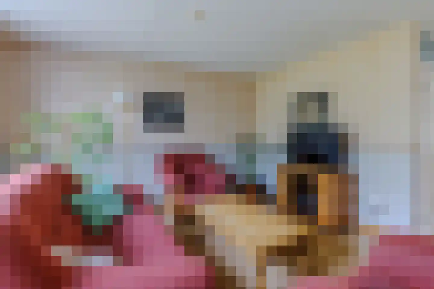 Hondelink 80 Haaksbergen thumbnail 7