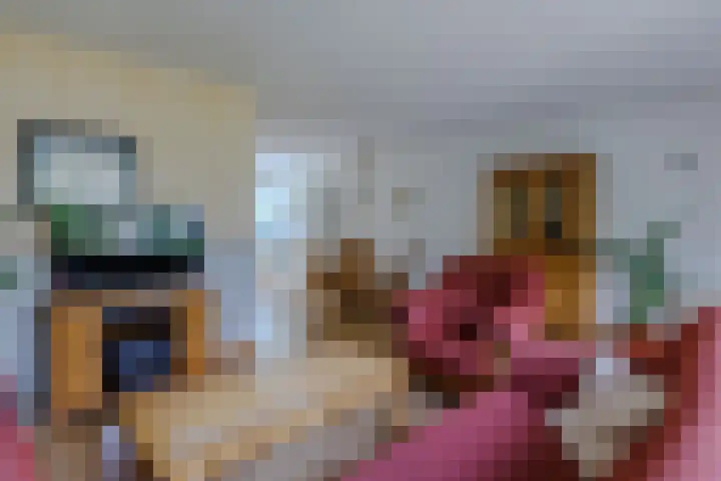 Hondelink 80 Haaksbergen thumbnail 7
