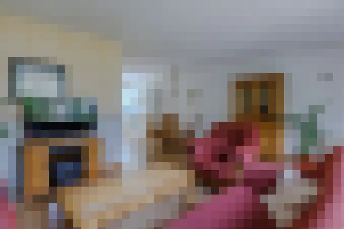 Hondelink 80 Haaksbergen thumbnail 8