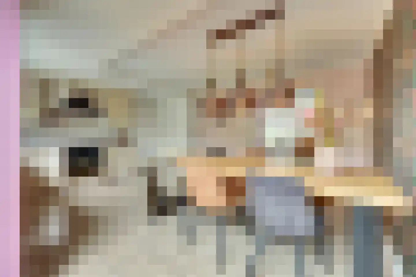 Hondelink 90 Haaksbergen thumbnail 11