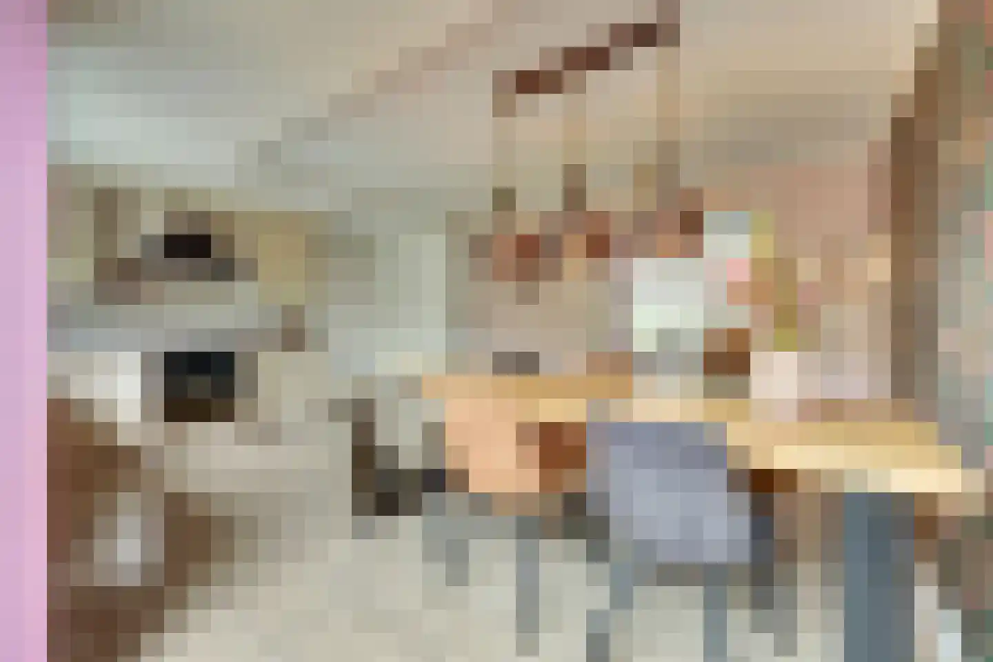 Hondelink 90 Haaksbergen thumbnail 11