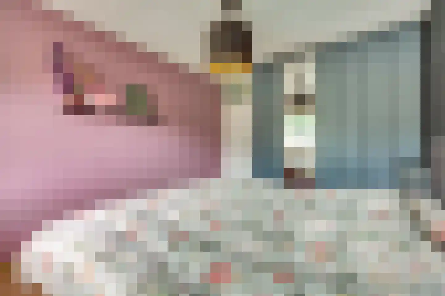 Hondelink 90 Haaksbergen thumbnail 16