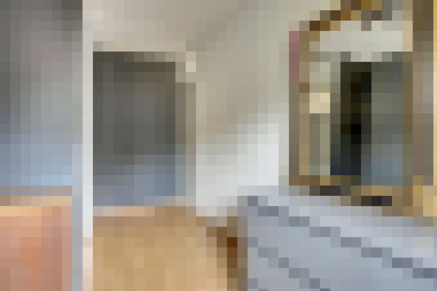 Hondelink 90 Haaksbergen thumbnail 20