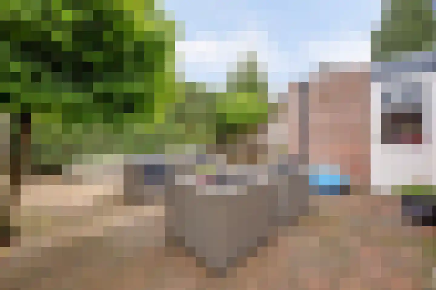 Hondelink 90 Haaksbergen thumbnail 26