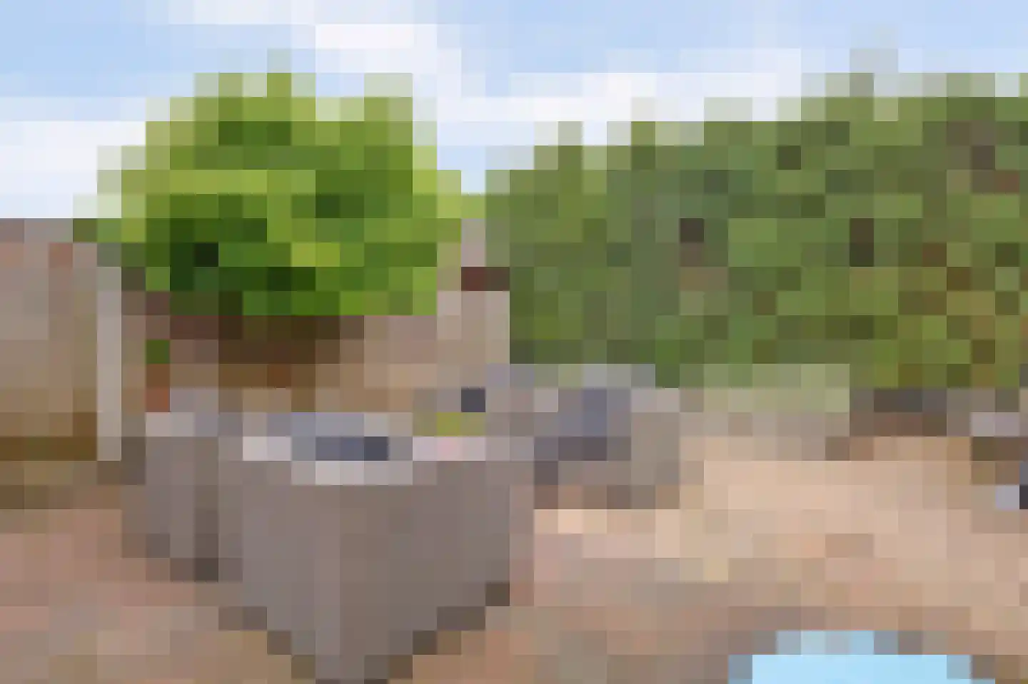 Hondelink 90 Haaksbergen thumbnail 27