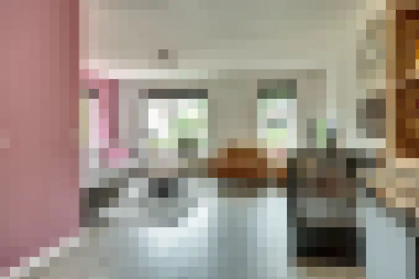 Hondelink 90 Haaksbergen thumbnail 6