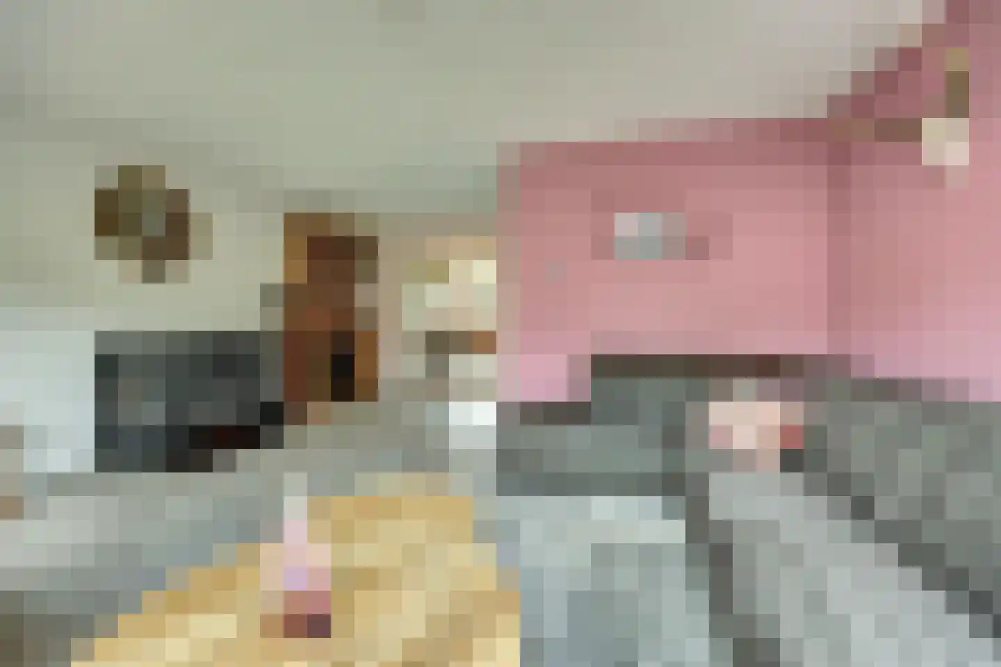 Hondelink 90 Haaksbergen thumbnail 8