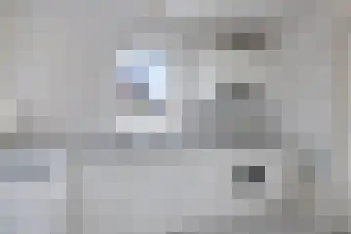 Hondelink 94 Haaksbergen thumbnail 11