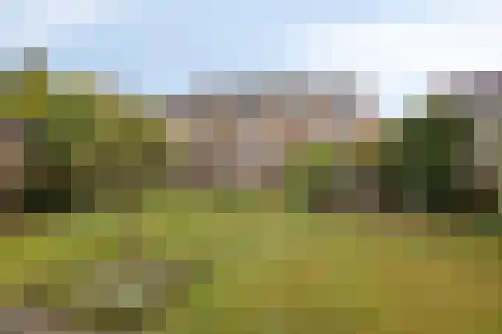 Hondelink 94 Haaksbergen thumbnail 17