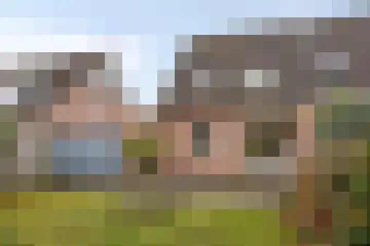 Hondelink 94 Haaksbergen thumbnail 18
