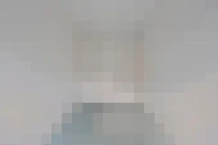 Hondelink 94 Haaksbergen thumbnail 23