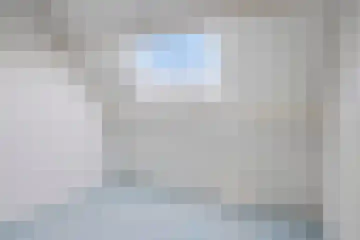 Hondelink 94 Haaksbergen thumbnail 24