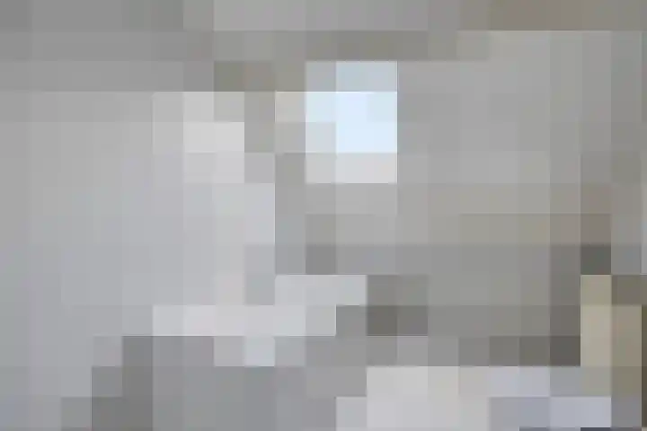 Hondelink 94 Haaksbergen thumbnail 25