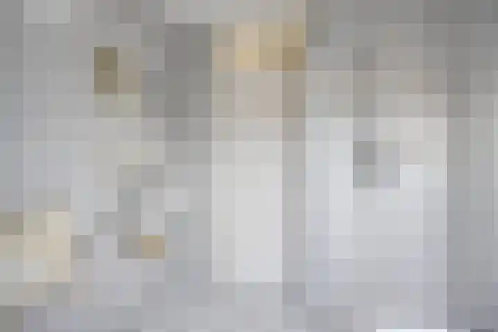 Hondelink 94 Haaksbergen thumbnail 26