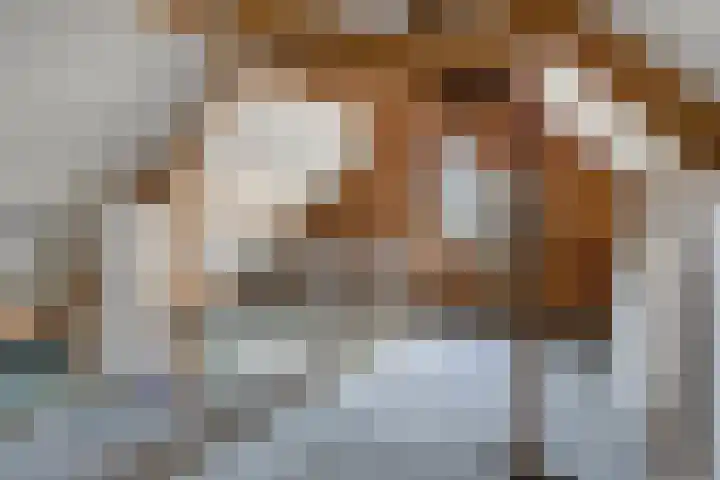 Hondelink 94 Haaksbergen thumbnail 28