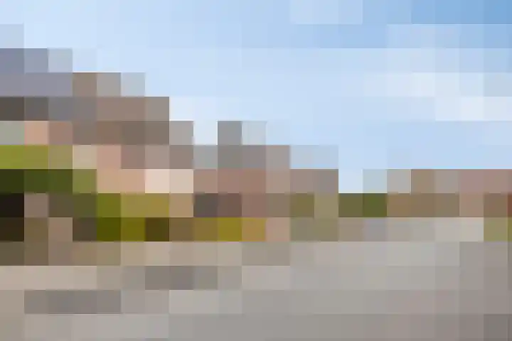 Hondelink 94 Haaksbergen thumbnail 30